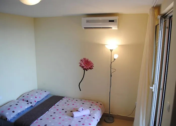 Apartment Ivan Zadar